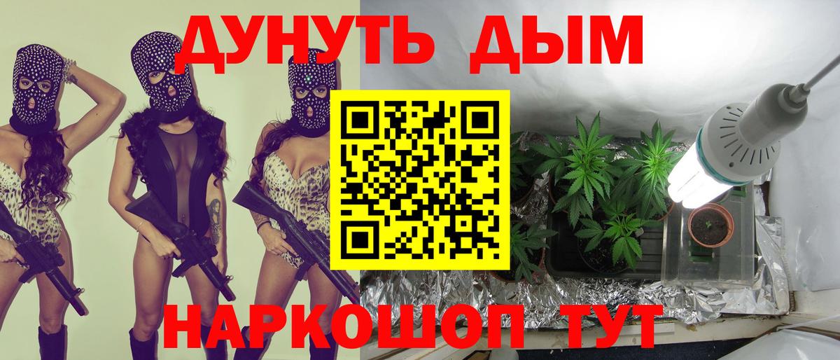 Бошки Шишки гибрид  Канабис сатива  Ростов-на-Дону  Вход с VPN  МАРИХУАНА SATIVA & INDICA 